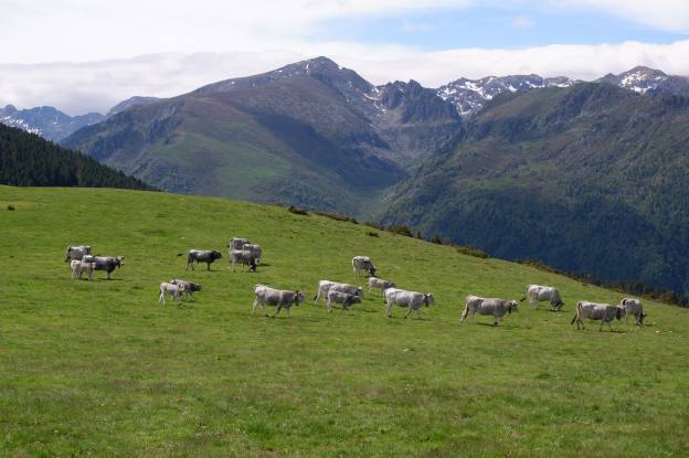 Photo Arca87 BN - Andorre 2023